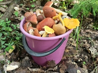    Фото: ГТРК Карелия