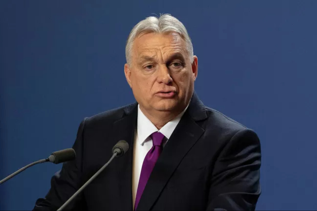    Фото: Denes Erdos, источник: apimagesblog.com