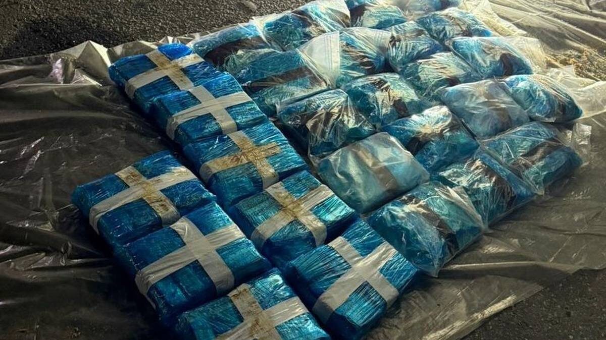    Фото: пресс-служба Центрального таможенного управления