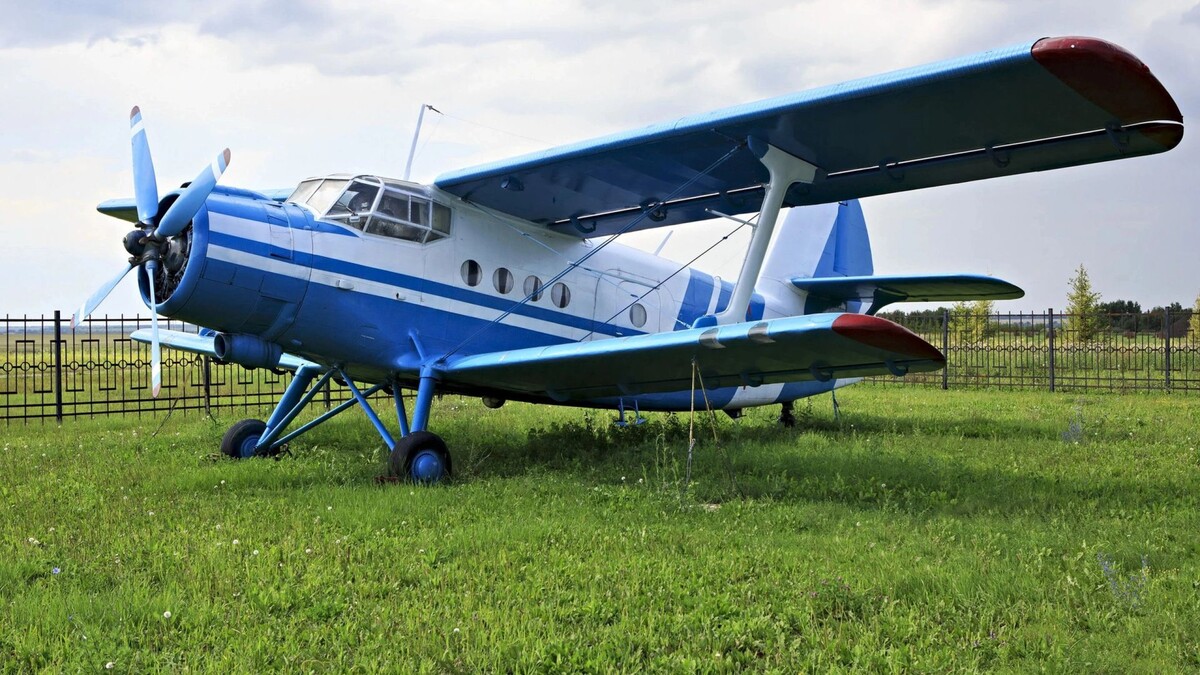    Фото: yykkaa/Shutterstock/Fotodom