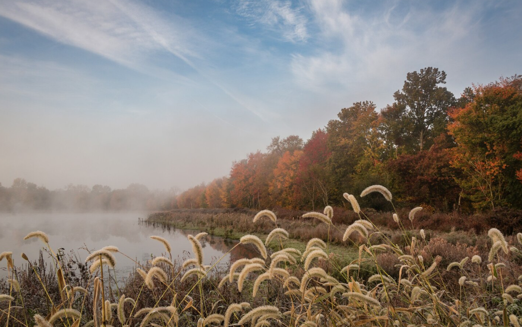 Фото: freepik / wirestock