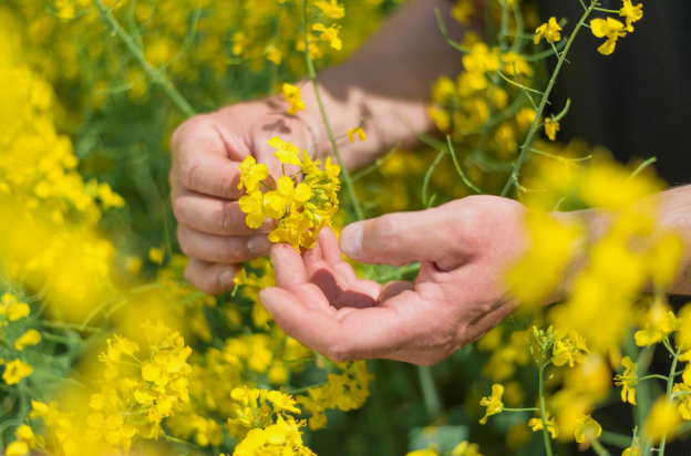 Источник фото: newswire.ca