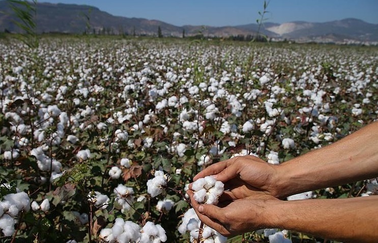 Фото с сайта aa.com.tr