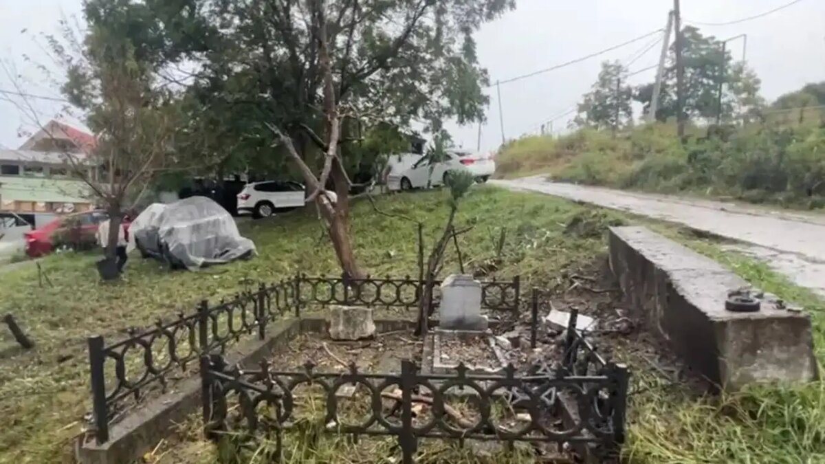     © ТГ-канал мэра Сочи Андрея Прошунина