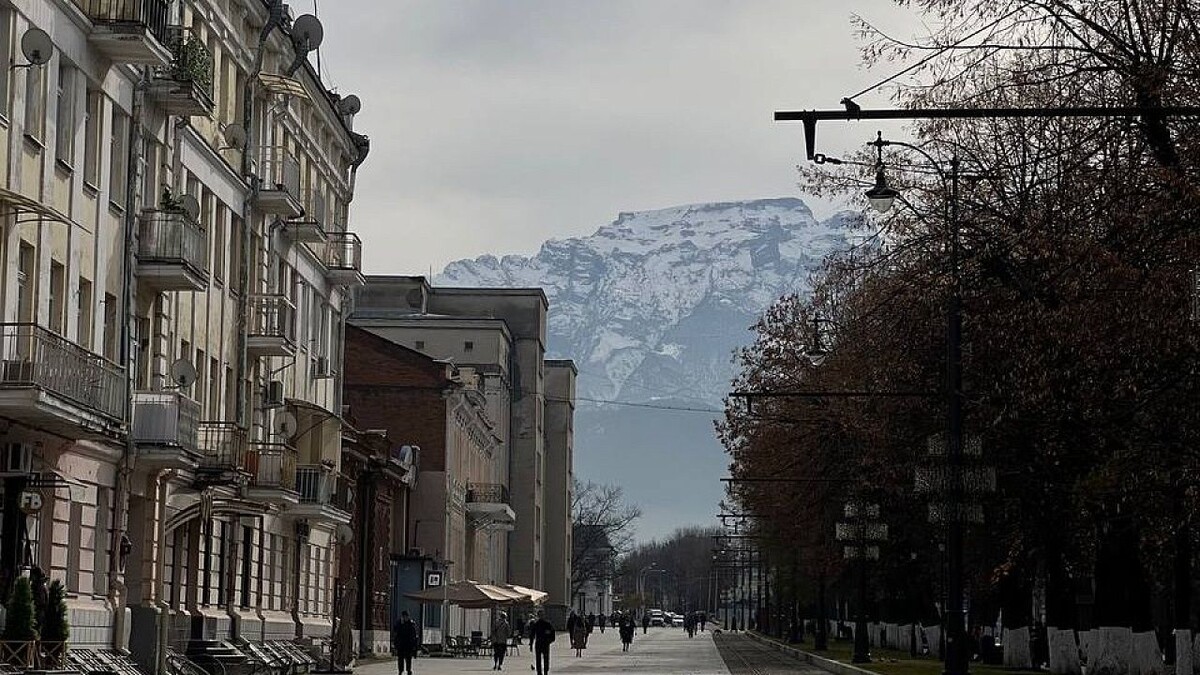    Фото: телеканал «Краснодар»