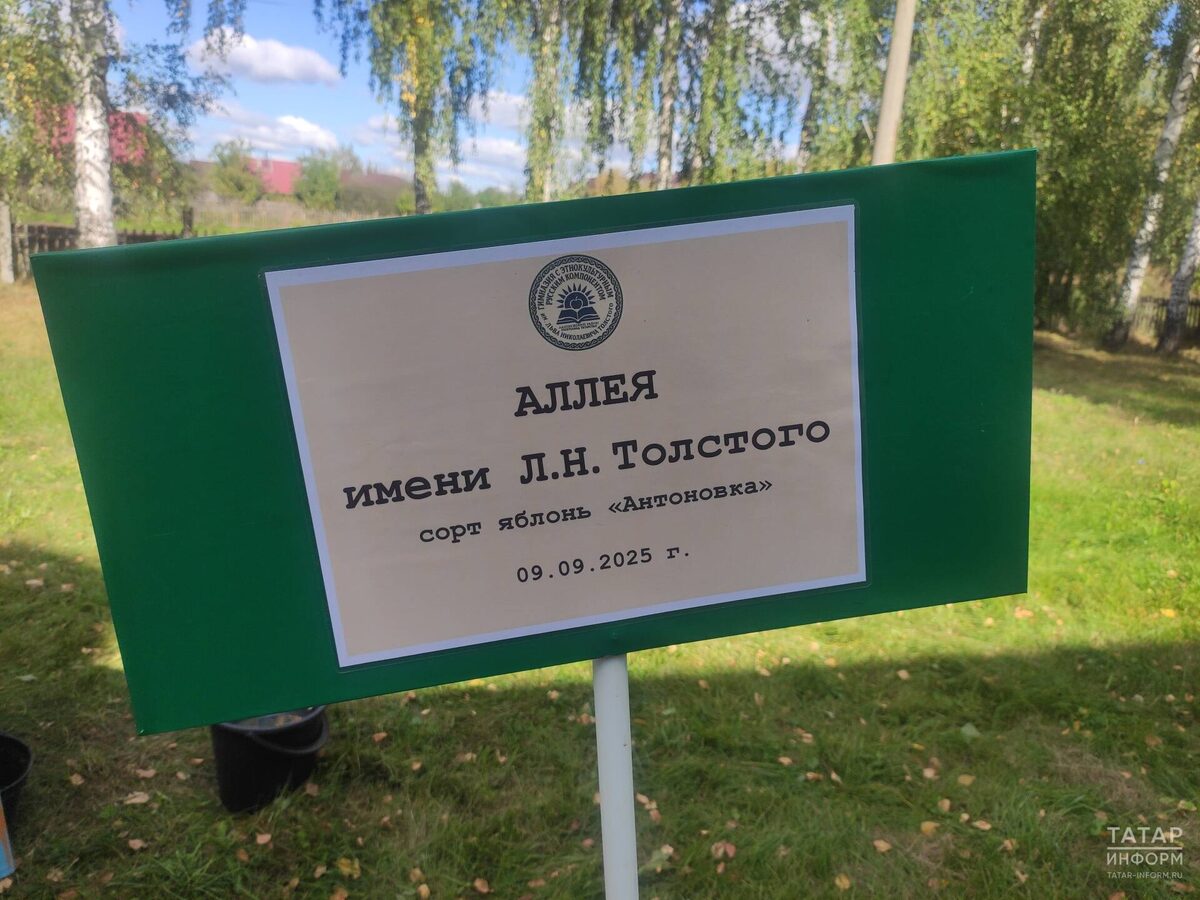 Фото: © Арсений Каримов / «Татар-информ»