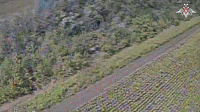    Наши дроноводы настигают противника в любом укрытии//Видео с официального ТГ-канала Минобороны