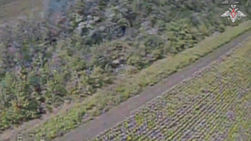    Наши дроноводы настигают противника в любом укрытии//Видео с официального ТГ-канала Минобороны