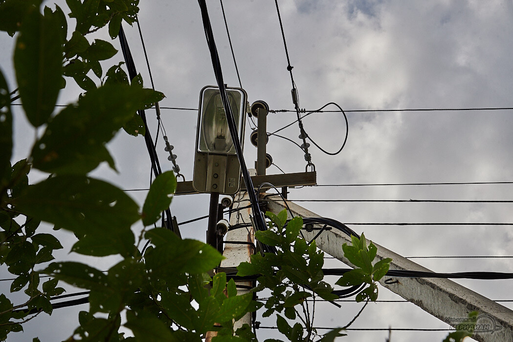    Фото: Лидия Аникина © ИА "Уральский меридиан"