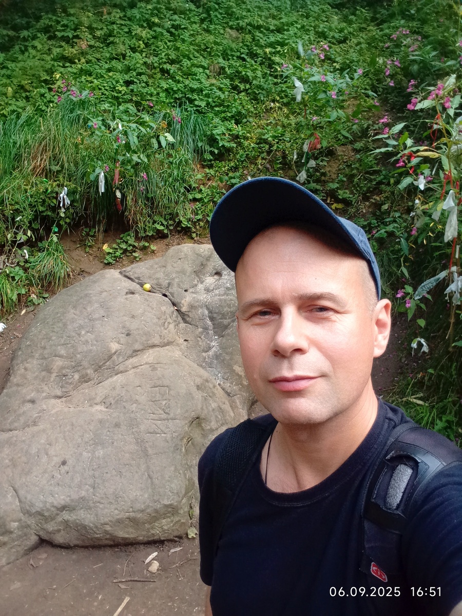 Гусь камень