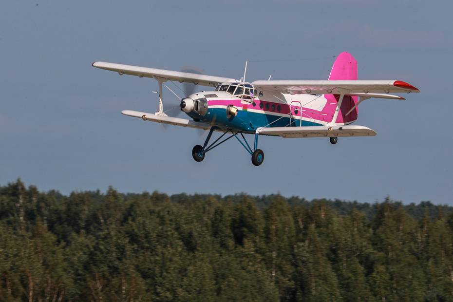    Сергей Булкин/NEWS.ru