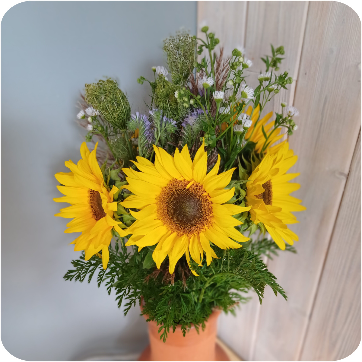 Свежесрезанные сорняки. Фото автора