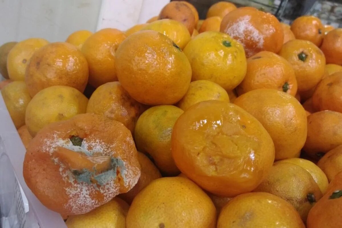    Профессор Строкова рассказала, можно ли варить варенье из гнилых фруктов