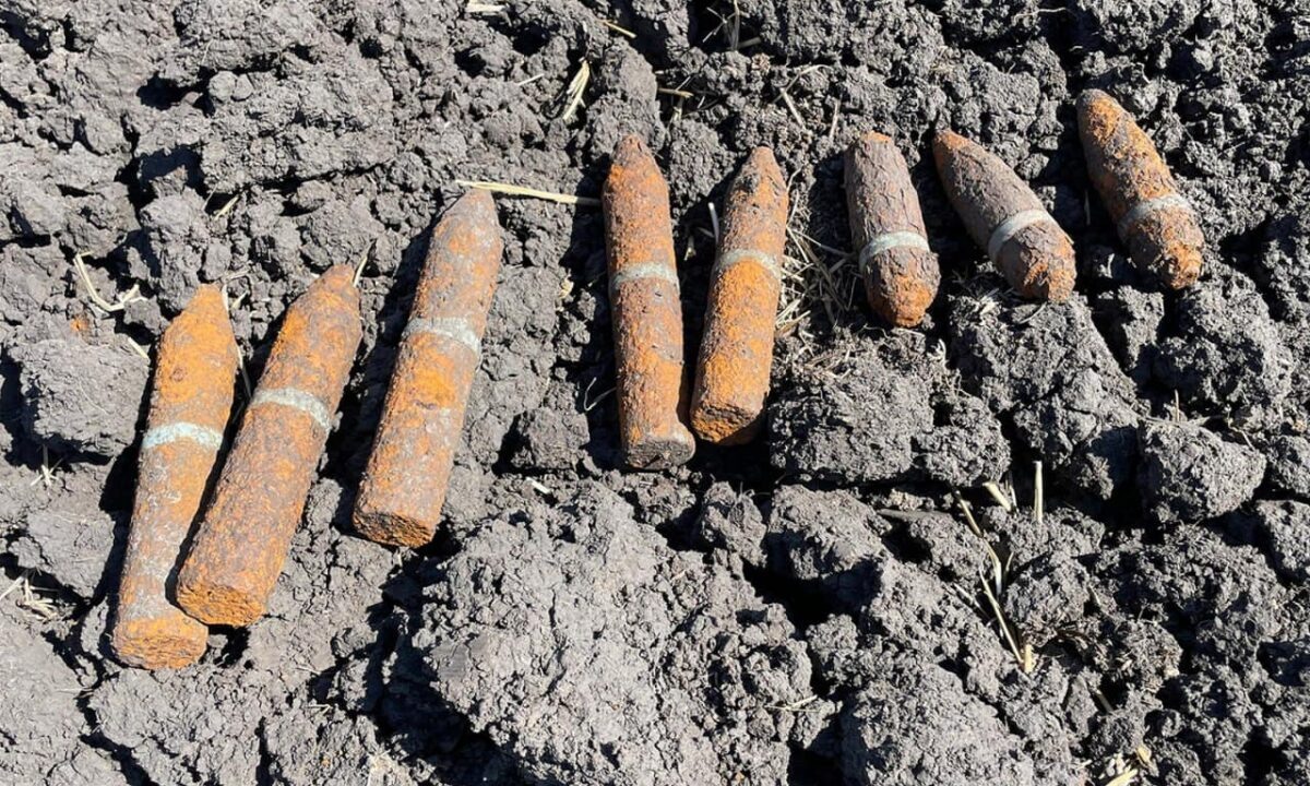    Фото t.me/rosgvard_krasnodar