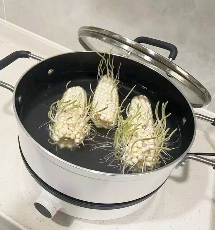 © 爆料公社一日小編 