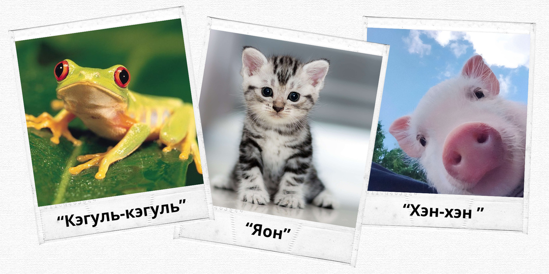 Почему корова в Китае мычит «моу-моу», а свинья в Корее хрюкает «ккуль-ккуль»