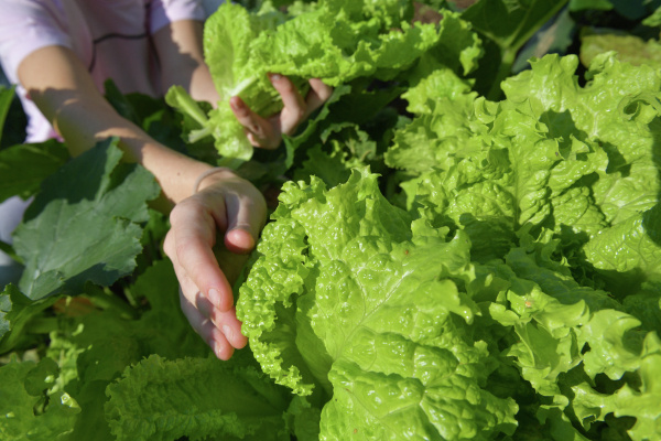 Фото: РИА Новости