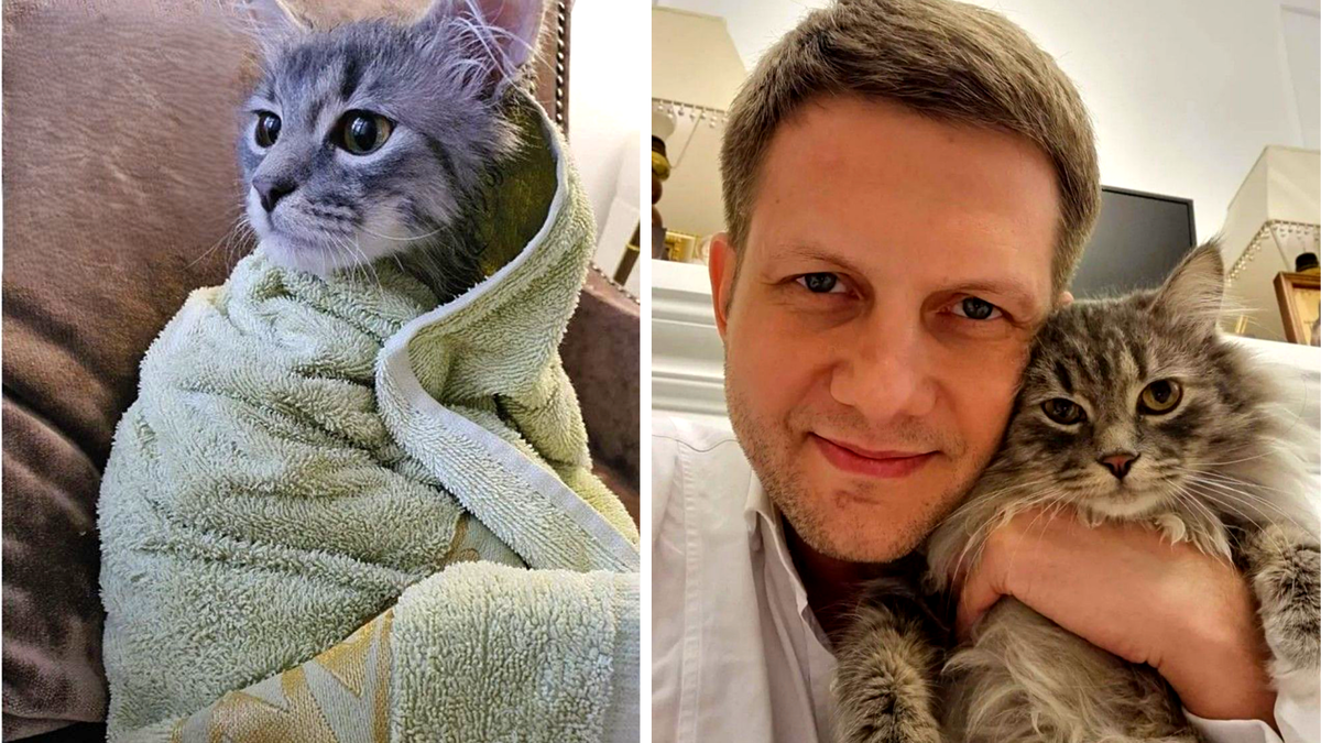 Слева: таким Степа попал в дом, справа: уже не Степа, а Степан!--->> Разгадка титульного фото