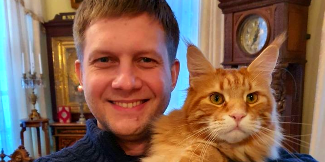 Котенка нашли в коробке, обмотанной скотчем: где знаменитости берут любимых питомцев