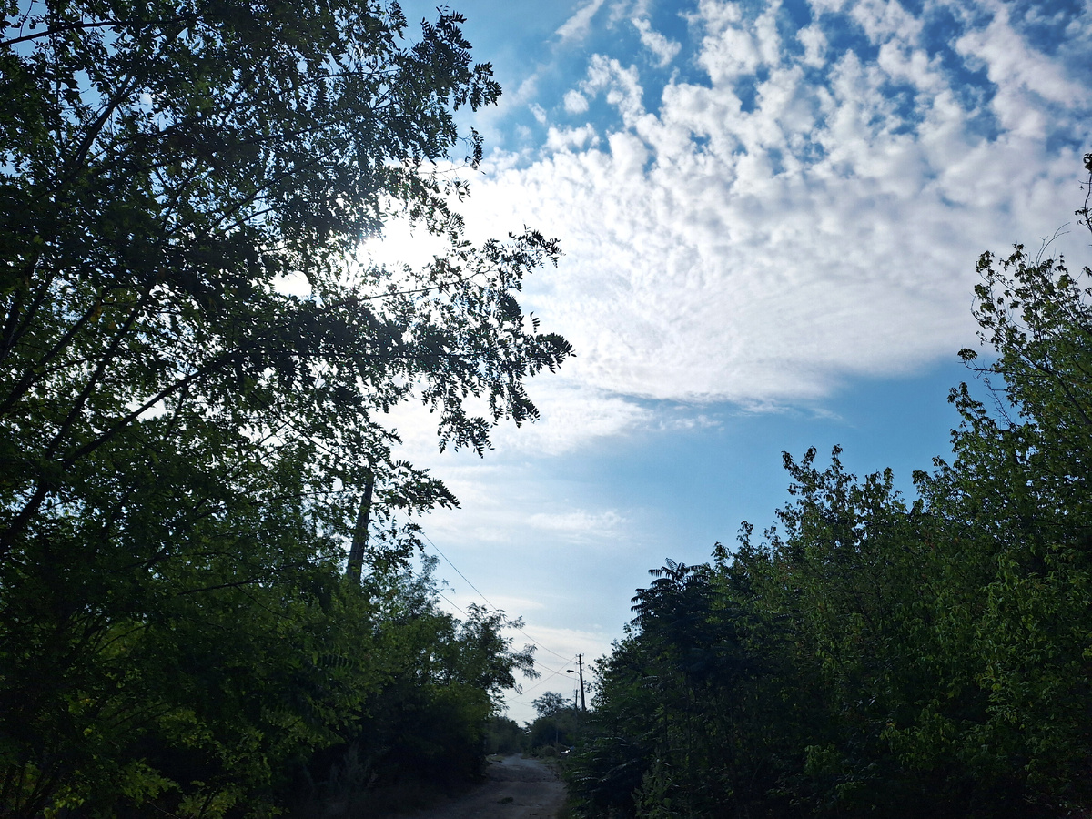 Фото автора.