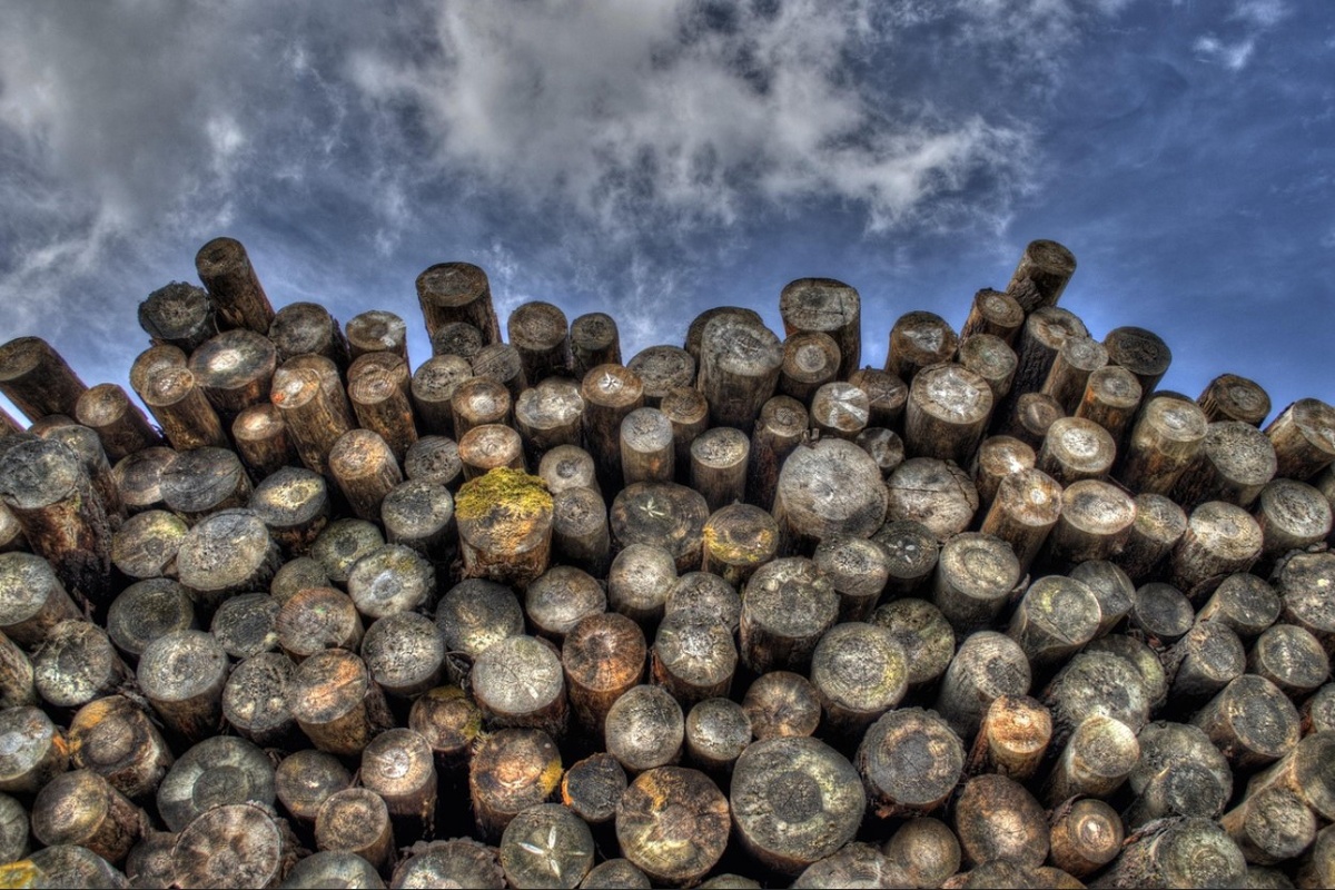    Фото: pixabay.com