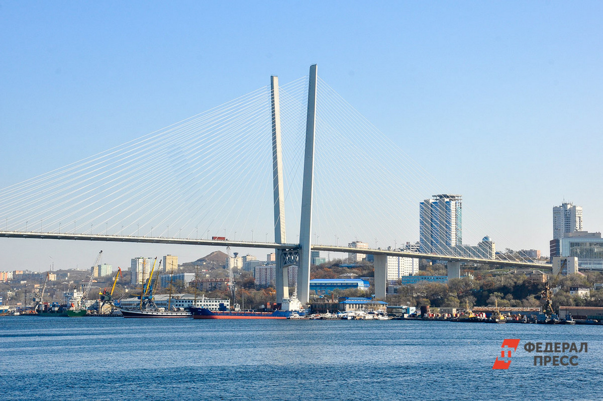 По словам Максима Кривелевича, реализация стратегии может занять на несколько лет больше, чем изначально предполагалось.  Фото: Фото: ФедералПресс / Екатерина Лазарева