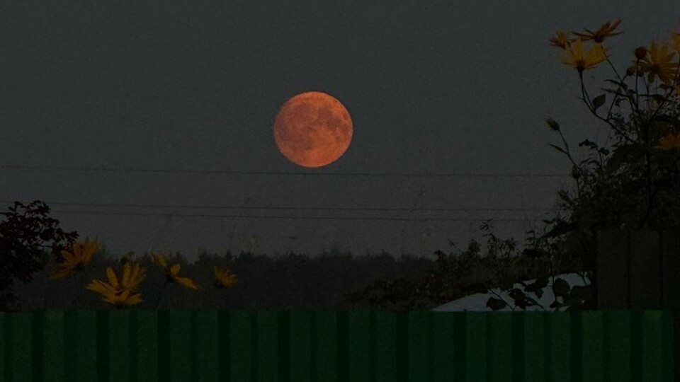 Обо всём понемногу