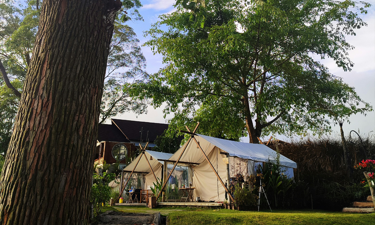 Истец указал, что ответчики используют участки не по целевому назначению, а осуществляют предпринимательскую деятельность
