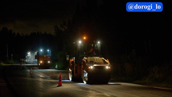 Фото: Dorogi_lo/telegram