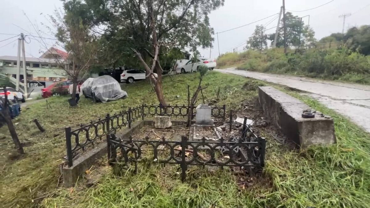    Фото: Telegram/Мэр Сочи Андрей Прошунин