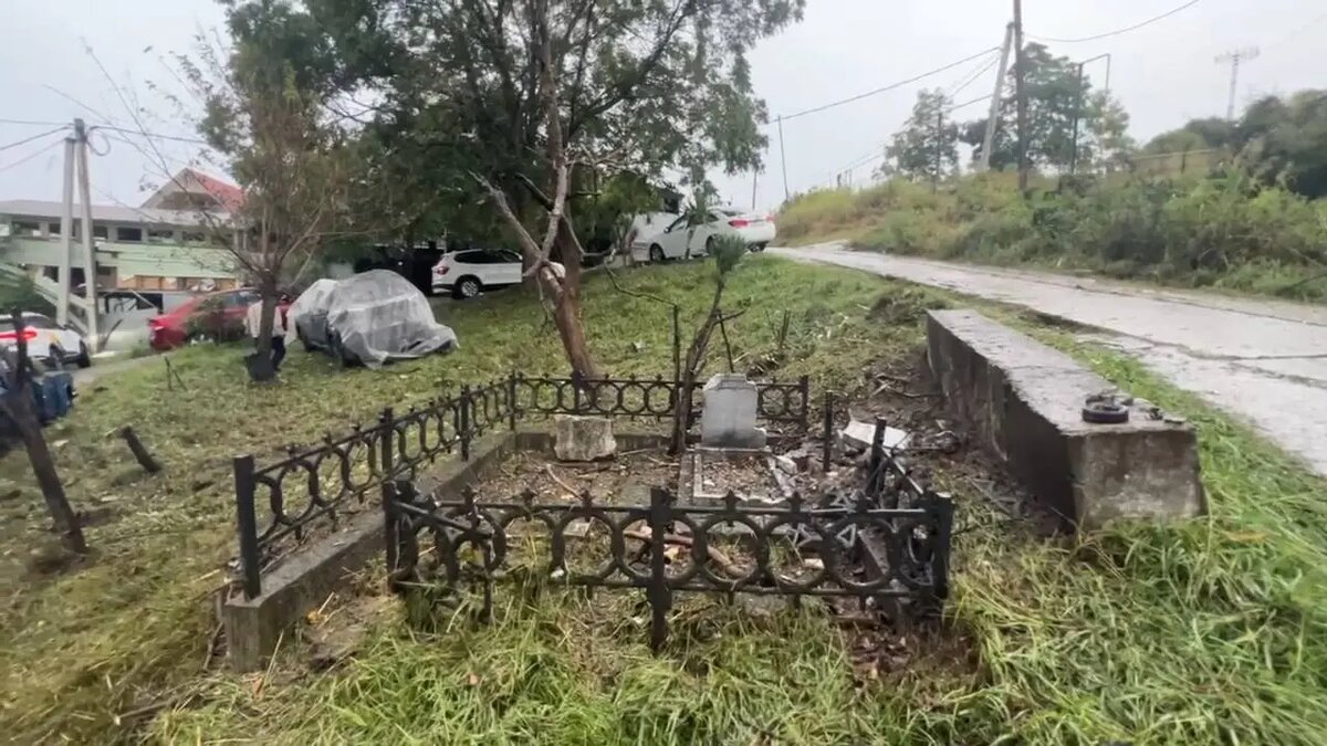    Фото: телеграм-канал мэра Сочи Андрея Прошунина