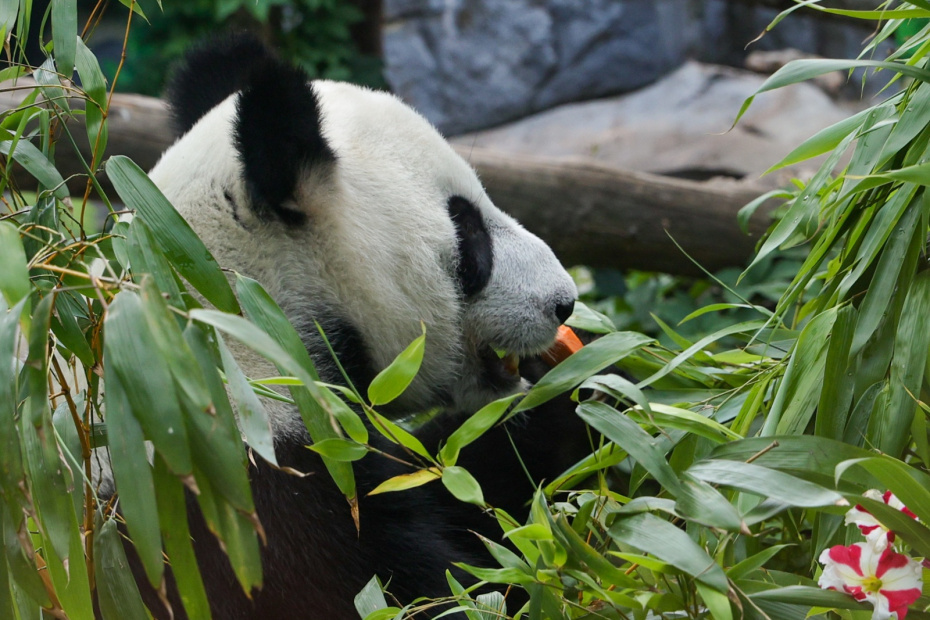    Наталья Шатохина/NEWS.ru