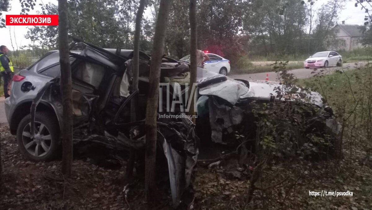 В Опочке молодой человек погиб после столкновения автомобиля с деревом
Фото: Telegram-канал «Псковская сводка. ПАИ»