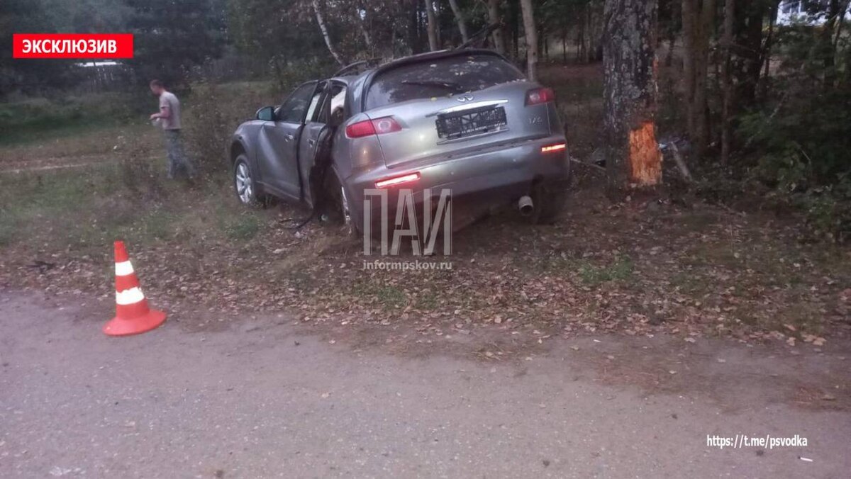 В Опочке молодой человек погиб после столкновения автомобиля с деревом
Фото: Telegram-канал «Псковская сводка. ПАИ»