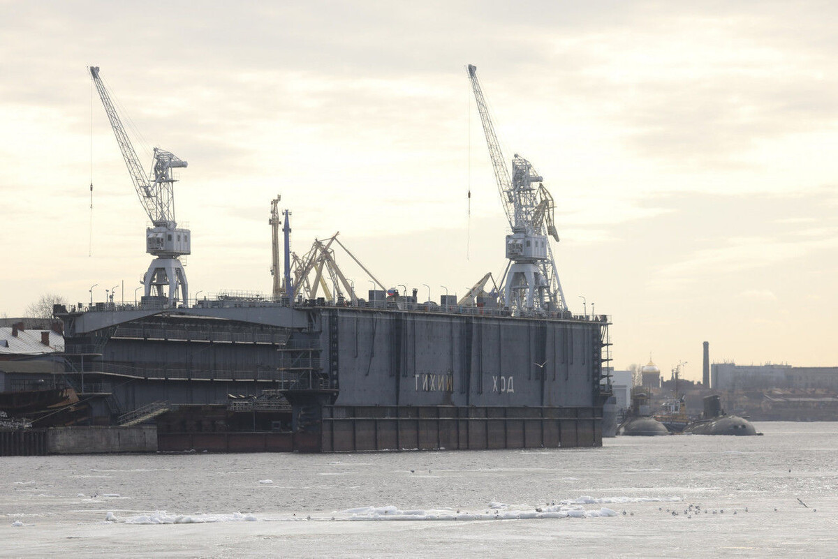 Фото: Александр Глуз / «Петербургский дневник»