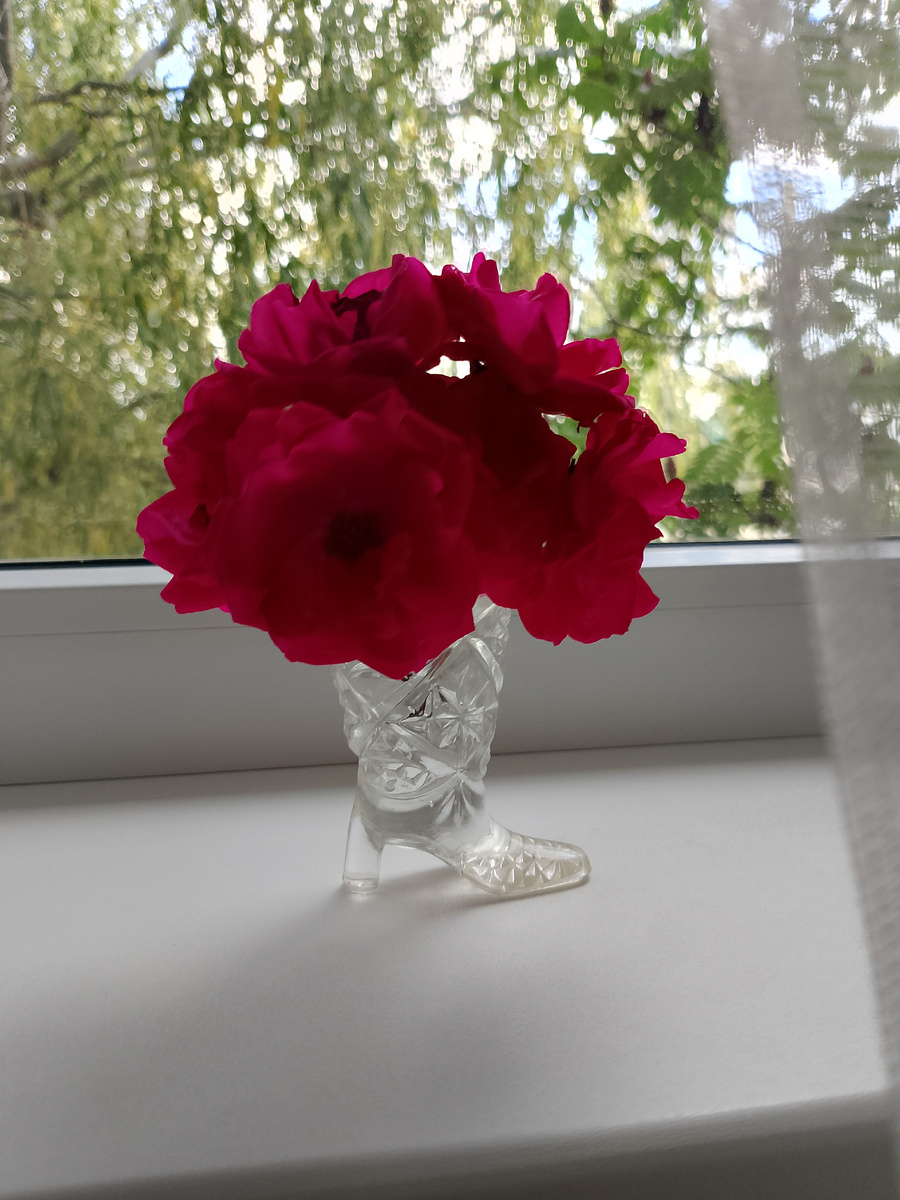 Зато много фотографировала, хоть и не всегда удачно)))