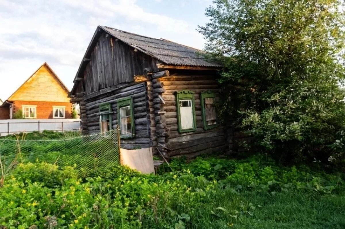    В Новосибирской области выросло число заброшенных участков