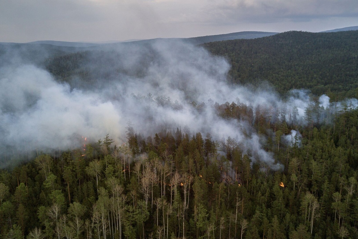    Фото: Валерий Мельников, источник: ria.ru