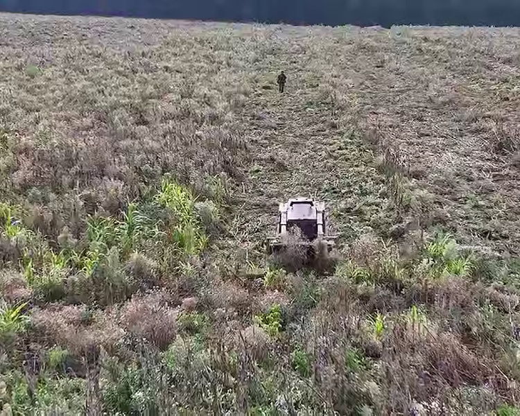     В Курской области обезврежено более 14 тысяч взрывоопасных предметов