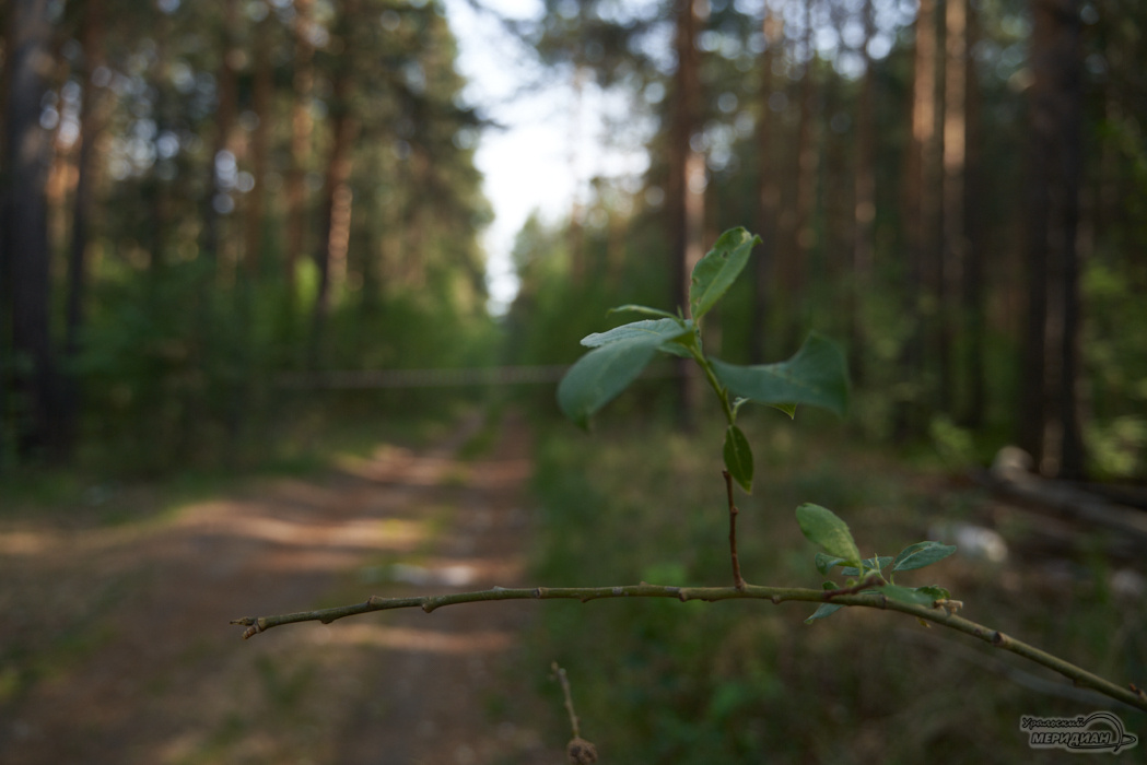    Фото: Лидия Аникина © ИА "Уральский меридиан"