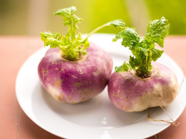    Фото: 123RF/magdalenajuillard