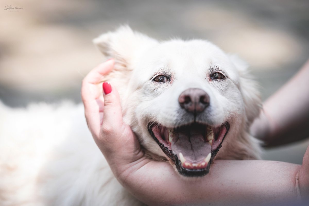 Очаровательная Белка мечтает о любящем человеке рядом
