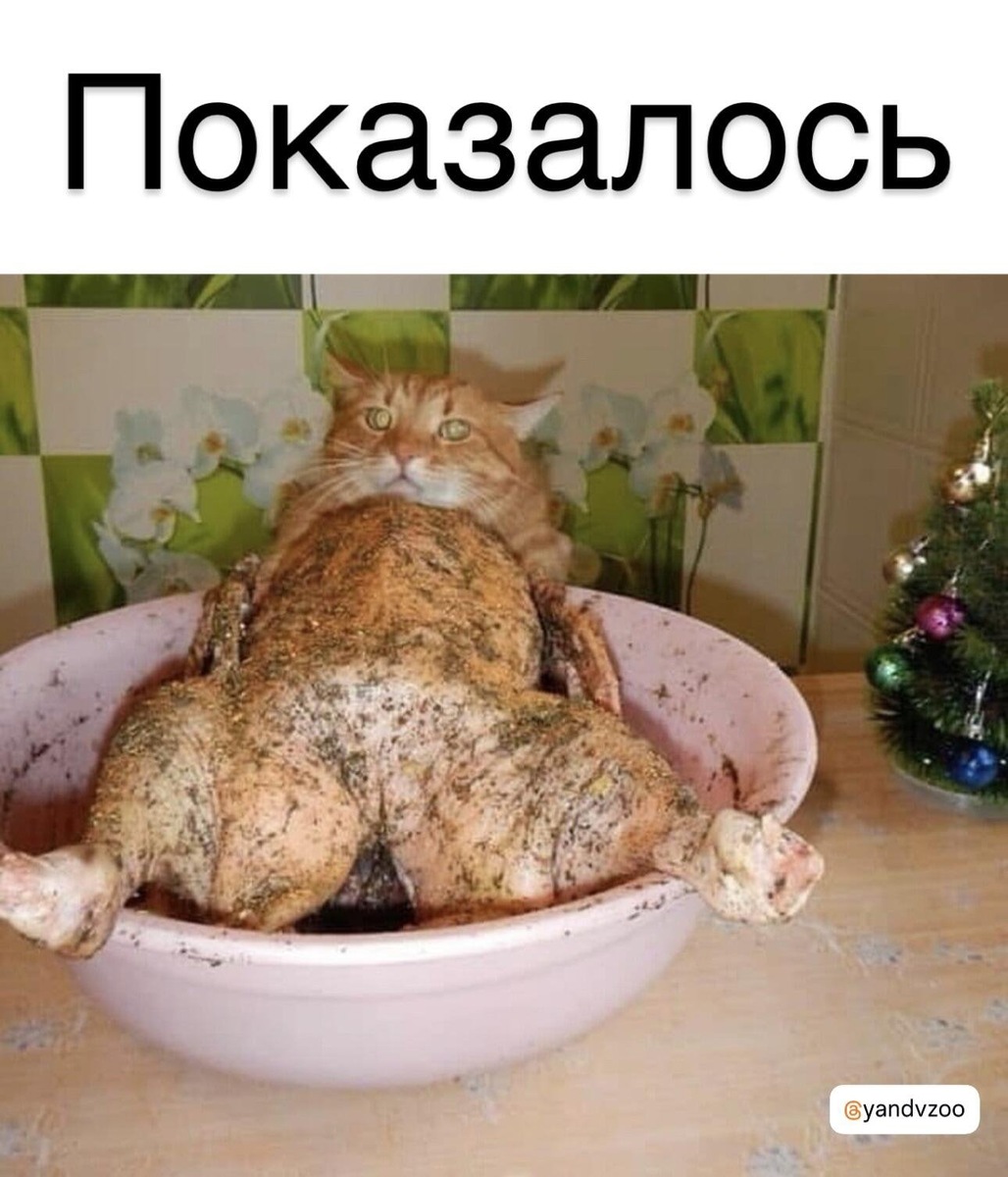 Это идеальный пример того, как легко можно спутать «лакомство» с «ласковым другом»!  Казалось бы, на столе классическая запечённая курочка, но пристальный взгляд охотника выдает всю правду: это кот в засаде, замаскированный под праздничное блюдо! 

Пусть на кухне будет больше пушистых сюрпризов, чем неожиданных дегустаций!