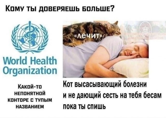 Скриншот автора