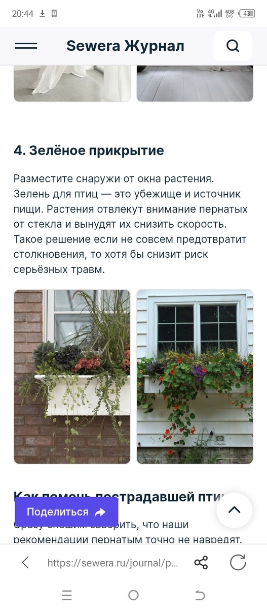 Фото из интернета