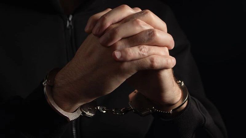    Фото: Skrypnykov Dmytro/Shutterstock/Fotodom