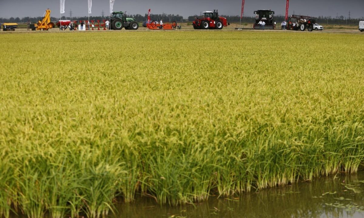    Фото пресс-службы администрации Краснодарского края