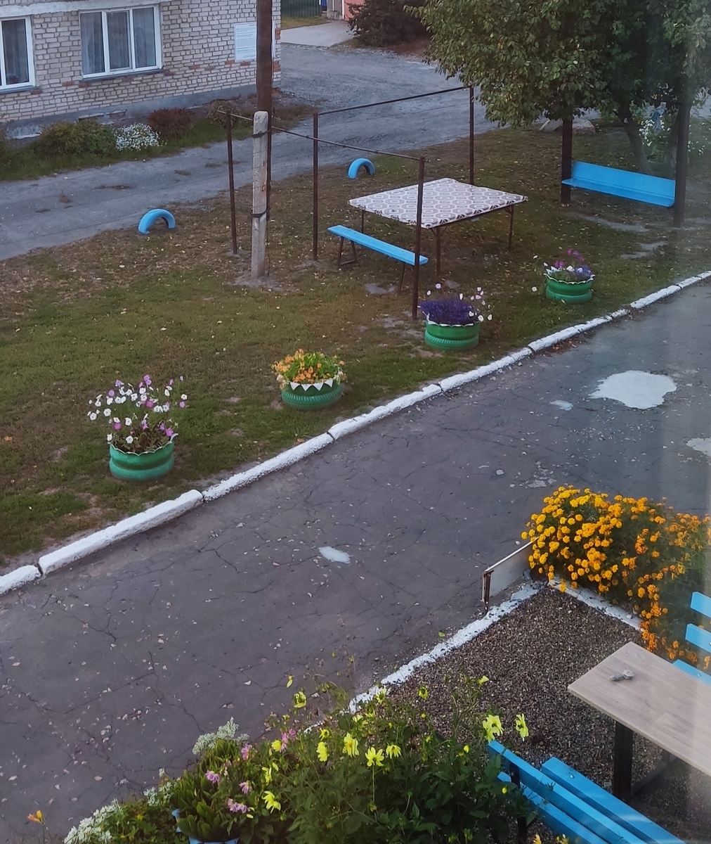 Часть двора (из окна сфотографировала сейчас)