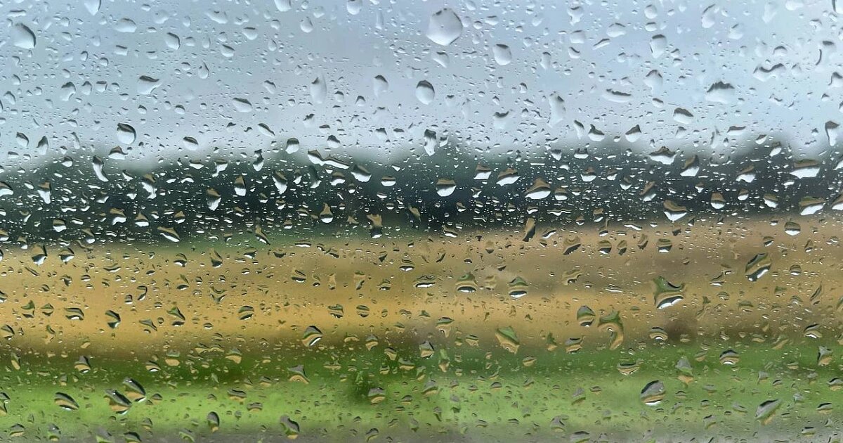 Фото: Утренний Юг