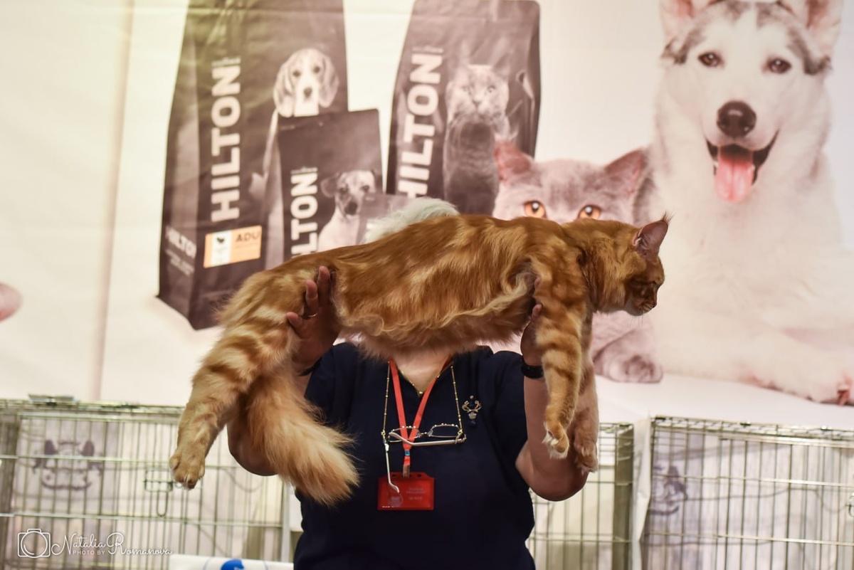 Усама 9 месяцев